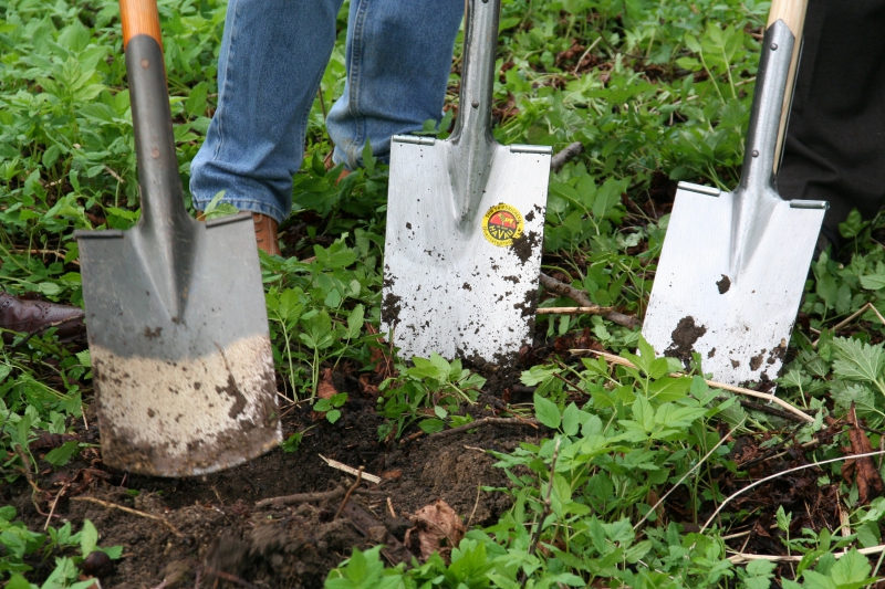 pepiniere-TOUET SUR VAR-min_work-lawn-flower-tool-green-backyard-1103633-pxhere.com